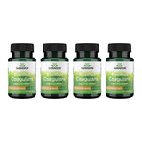 Swanson Bacillus Coagulans en cápsulas de forma esporulada para soporte digestivo estable.
