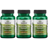 Swanson Lactobacillus Gasseri Probiotic: botella con cápsulas para uso diario.