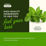 Caja de Swanson Menta Verde Hoja, presentación de 2 pack.