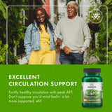 Escena de vida activa con Swanson Peak ATP para energía sostenida.