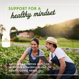 Swanson Rhodiola Ashwagandha Ginseng Complex etiqueta detalle, ingredientes clave.