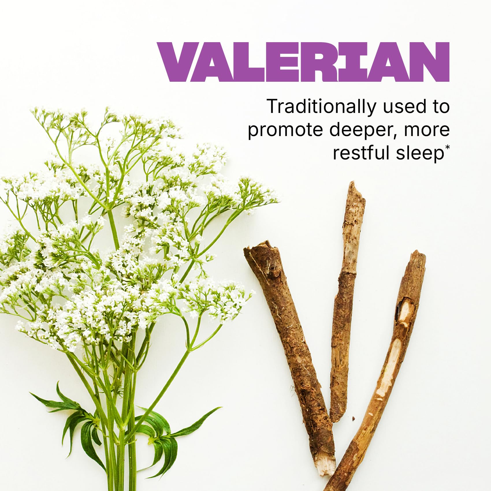 Caja de Swisse Valeriana para Dormir destacando ingredientes y uso nocturno.