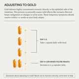 Synchro Gold curcuma liposomada cápsulas, formato práctico para uso diario.