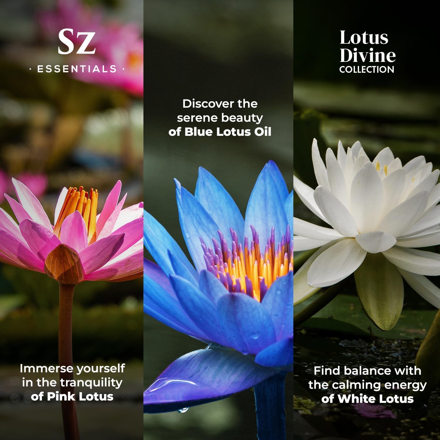 Sz Essentials Lotus Blanca: fragancia pura para armonizar la mente.