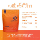 Tailwind Nutrition Endurance Fuel sabor frambuesa con cafeína para sesiones intensas.