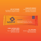 Tailwind Nutrition Endurance bebida lista para mezclar en agua durante sesiones