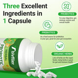 Tbivfller enfoque diario, apoyo digestivo y absorción de nutrientes.