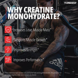 Desempeño y rendimiento mejorados con Creatina Monohidrato de TC Nutrition.