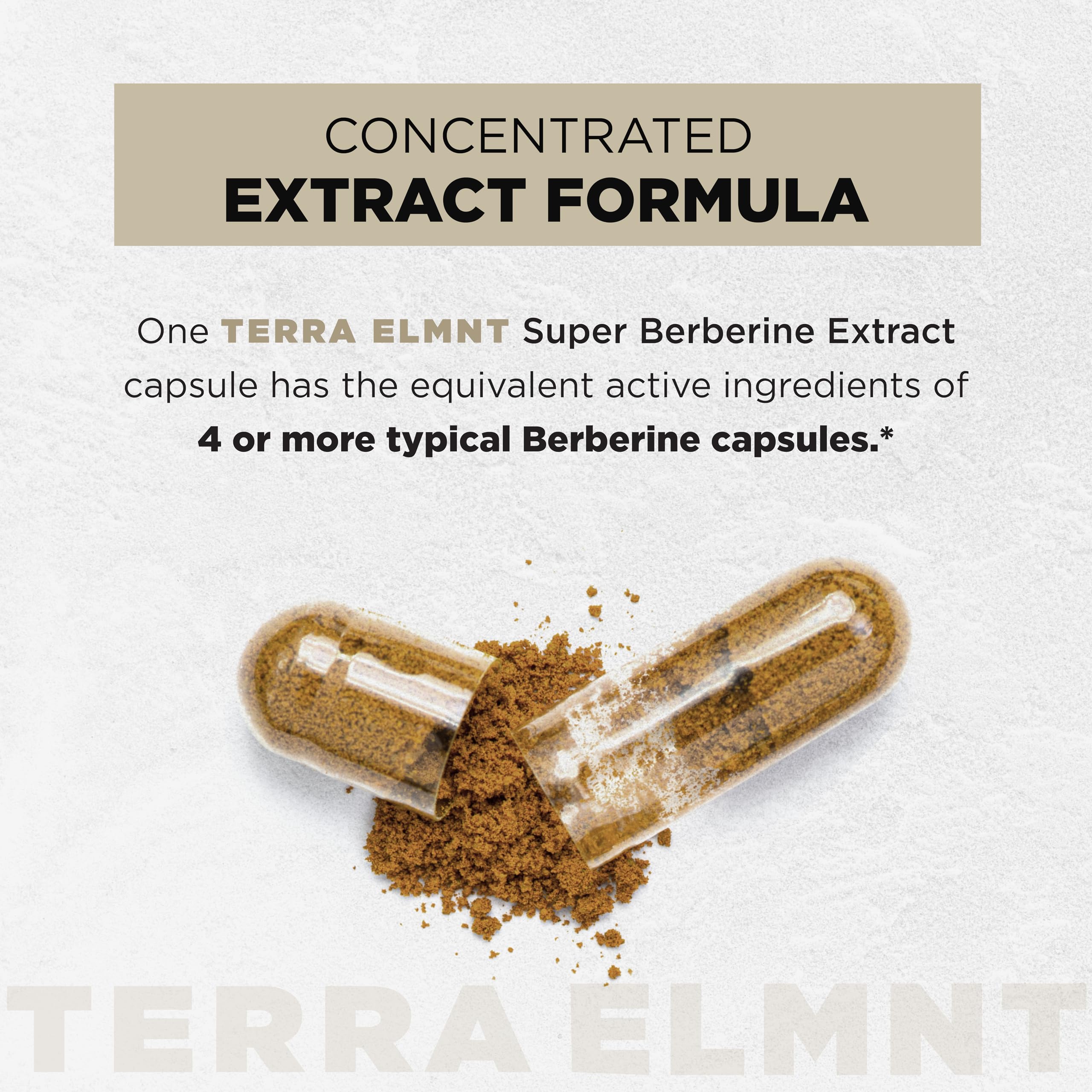 Terra Elmnt canela Ceilán, aroma cálido y potencial estabilización de azúcares