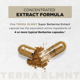 Terra Elmnt canela Ceilán, aroma cálido y potencial estabilización de azúcares