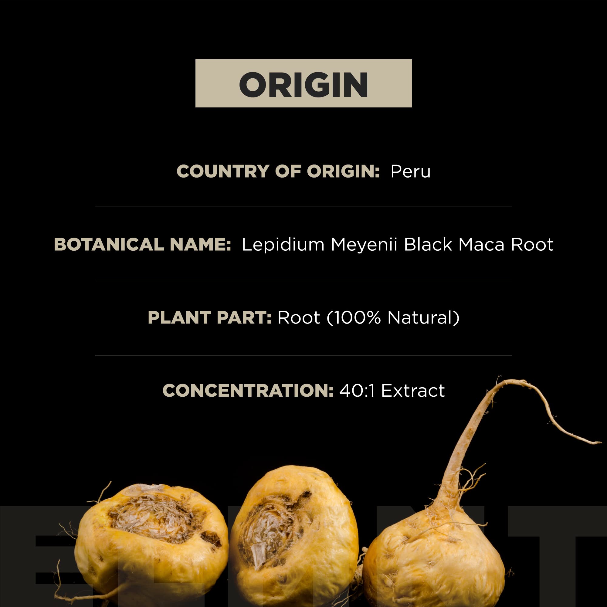 Terra Elmnt etiqueta del producto, claridad de ingredientes.