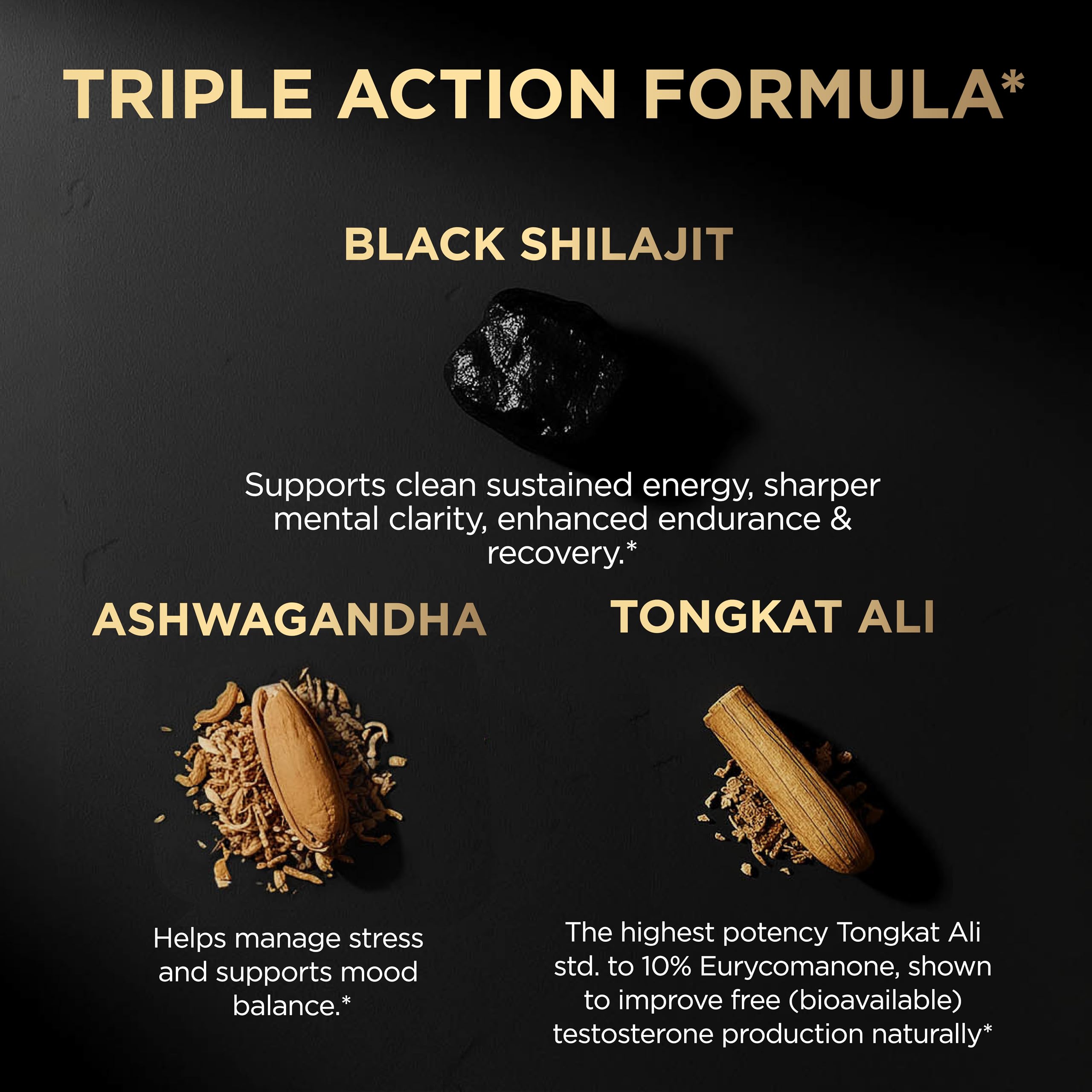 Shilajit con ácido Fulvico al 60% en Terra ELMNT.