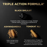 Shilajit con ácido Fulvico al 60% en Terra ELMNT.
