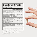 Terra Health Essentials Acid Relief: melisa y aloe vera para calma digestiva tras las comidas
