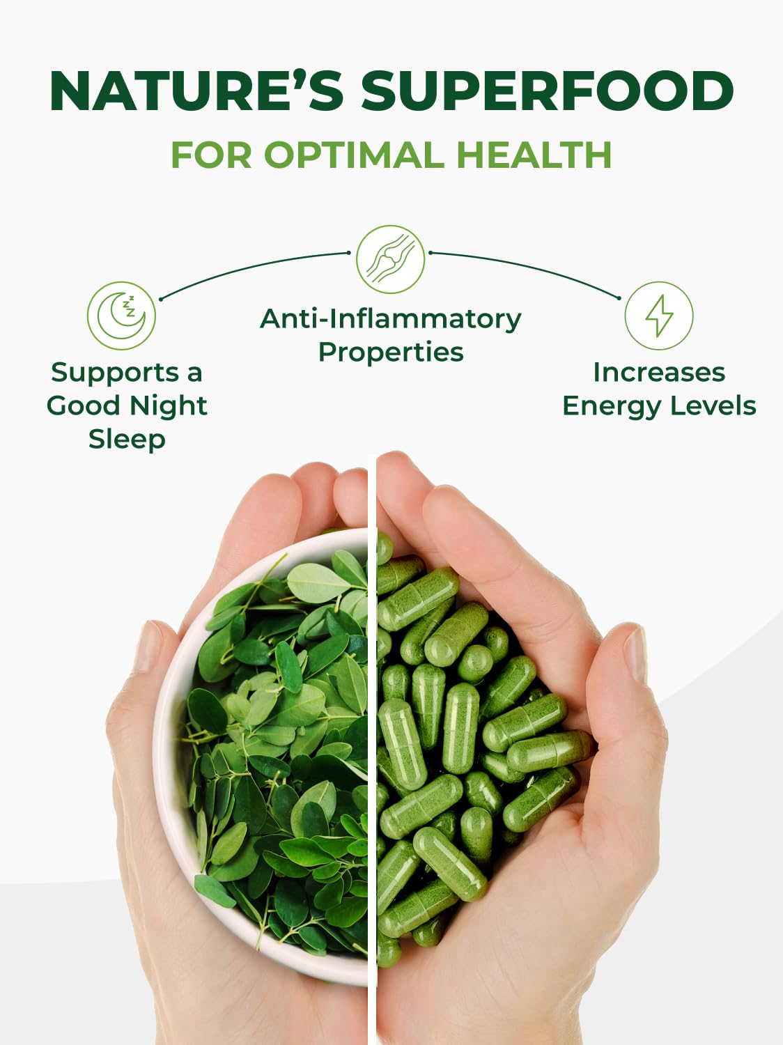 terra360 PURA VIDA MORINGA, calidad certificada y pureza de la planta