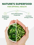 terra360 PURA VIDA MORINGA, calidad certificada y pureza de la planta