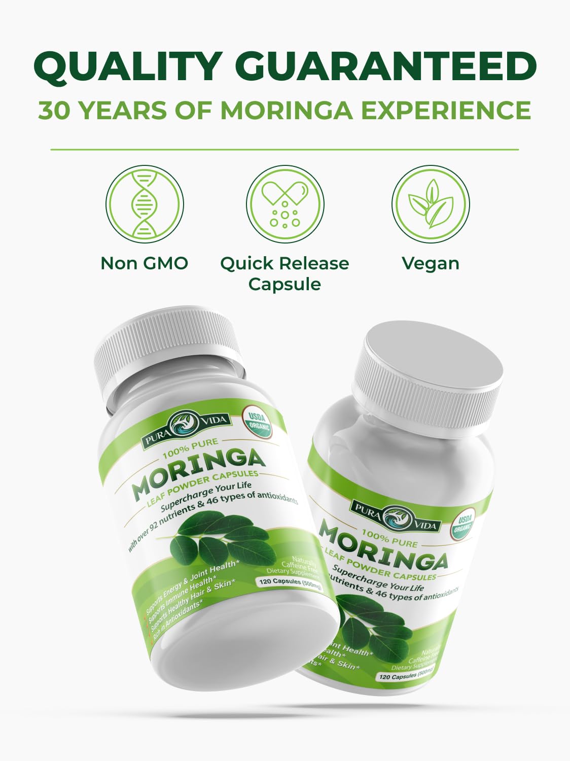 terra360 PURA VIDA MORINGA, cosecha en campo volcánico con minerales
