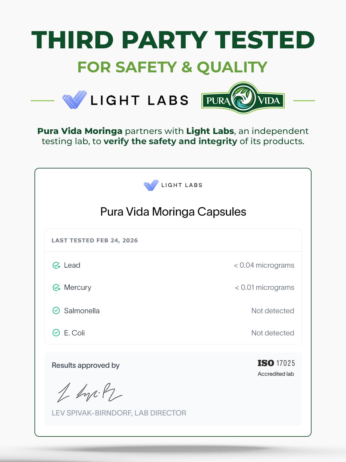 terra360 PURA VIDA MORINGA, hojas secas de origen americano