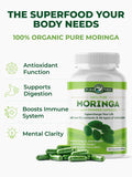 terra360 PURA VIDA MORINGA, proceso de secado moderno preservando enzimas