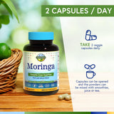 Terranics antioxidantes y aminoacidos, combinación para bienestar diario.
