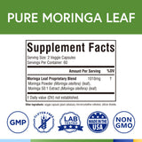 Terranics polvo hoja moringa, uso como suplemento verde para nutrición diaria.