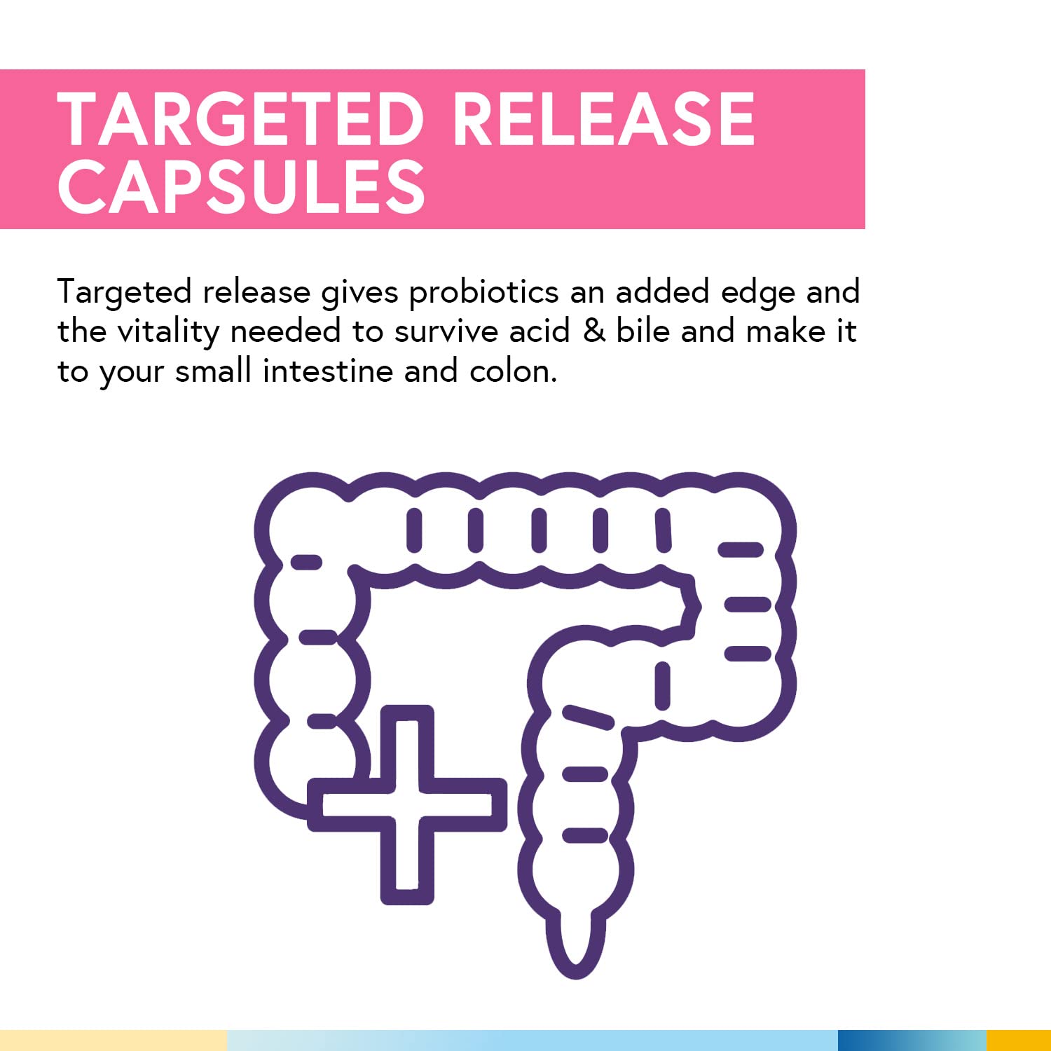 Terranics Daily Probiotics para Mujeres: fibra prebiótica para digestión diaria.