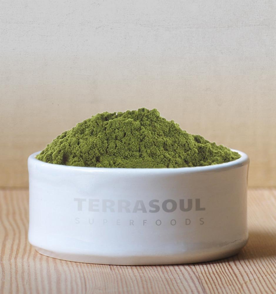 Terrasoul Proteína de cáñamo en polvo se mezcla fácilmente en batidos.