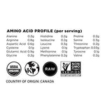 Terrasoul Proteína de cáñamo en polvo para recetas saludables.