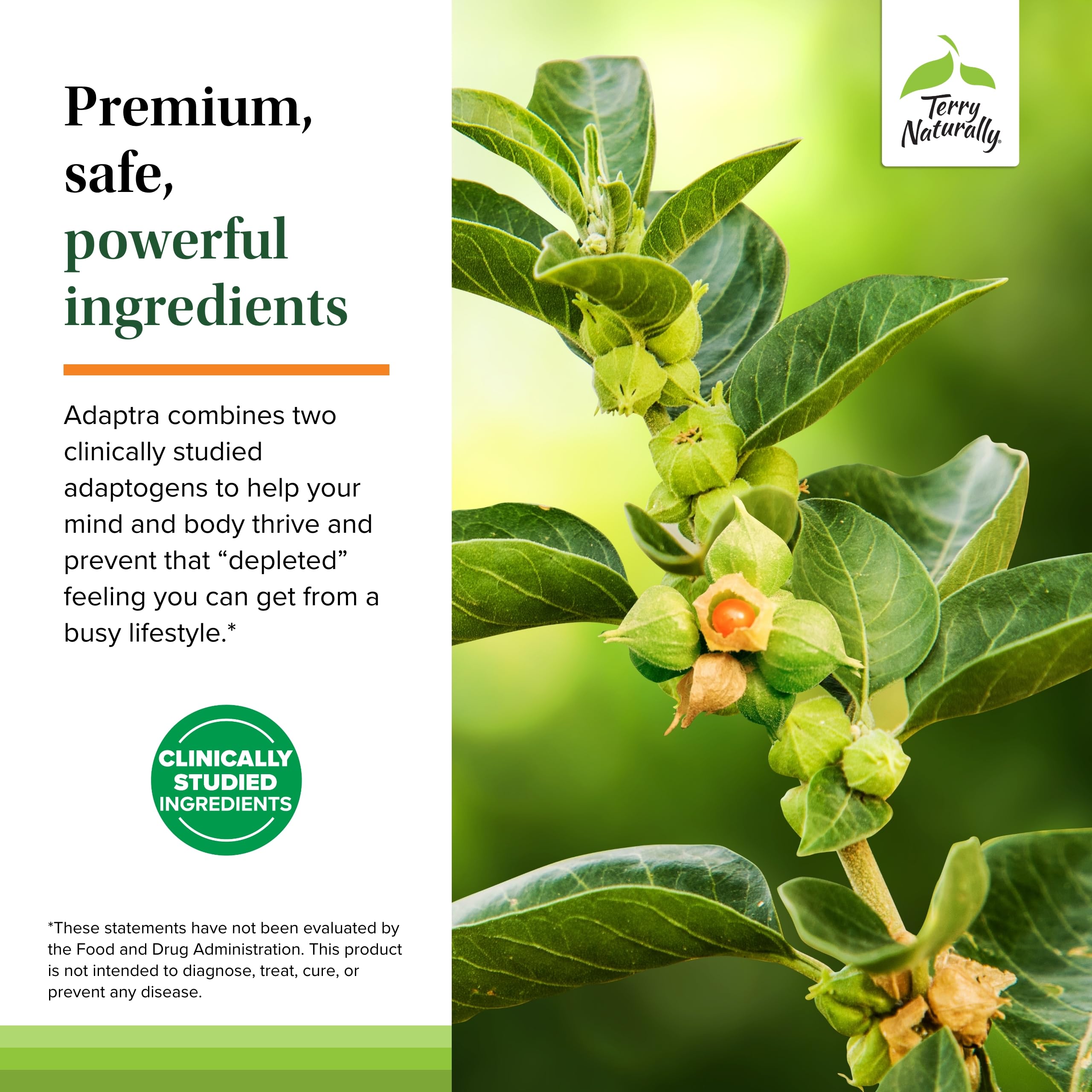 Terry Naturally Adaptra: ingredientes de ashwagandha y rhodiola para equilibrio