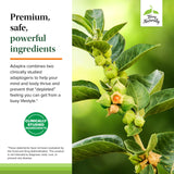 Terry Naturally Adaptra: ingredientes de ashwagandha y rhodiola para equilibrio