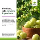 Terry Naturally Amla: imagen de fruta amla, fuente antioxidante