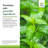 Terry Naturally Andrographis y Ashwagandha, botella en mostrador, práctica para la rutina diaria.