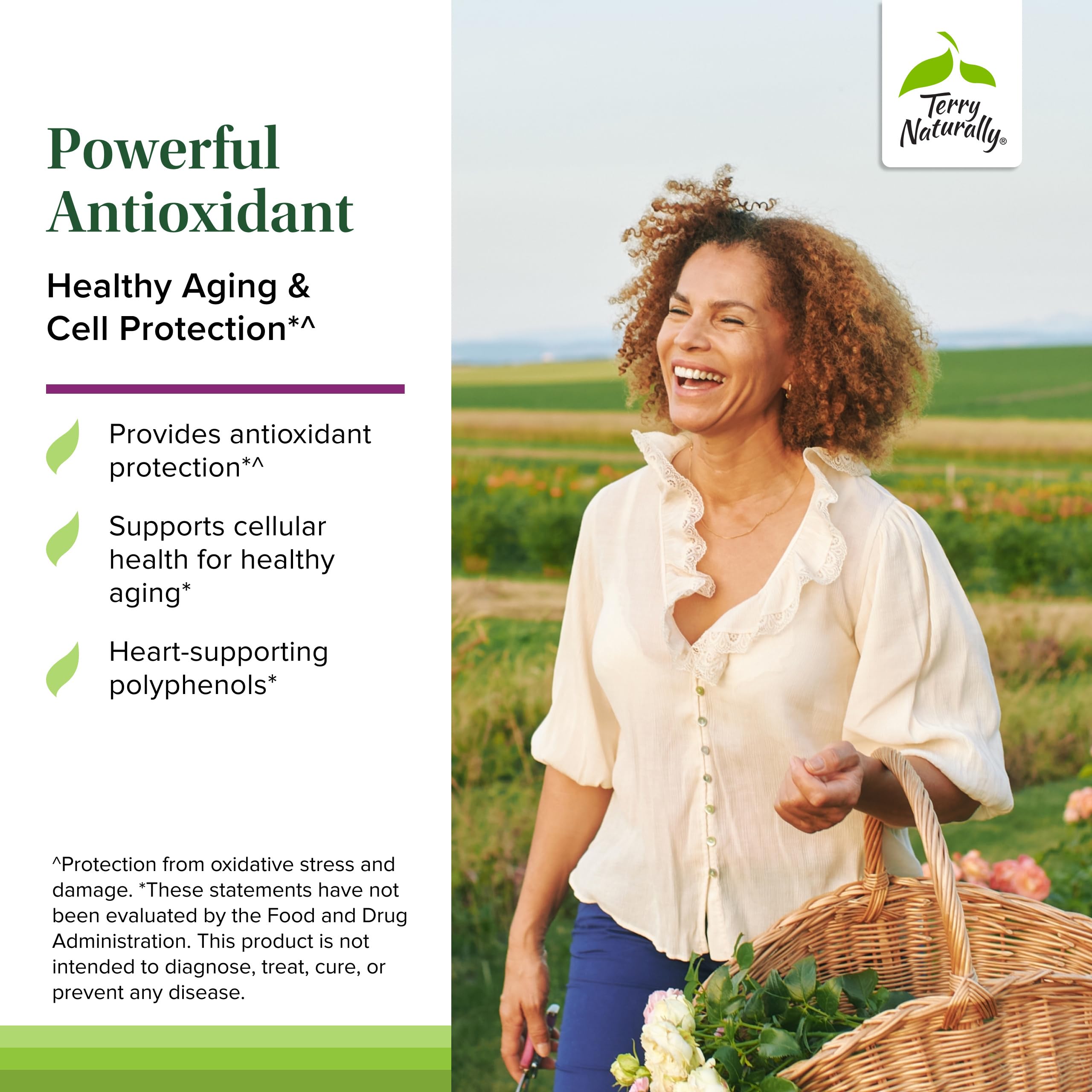 Terry Naturally Aronia Berry 300: primer plano de cápsulas antioxidantes.