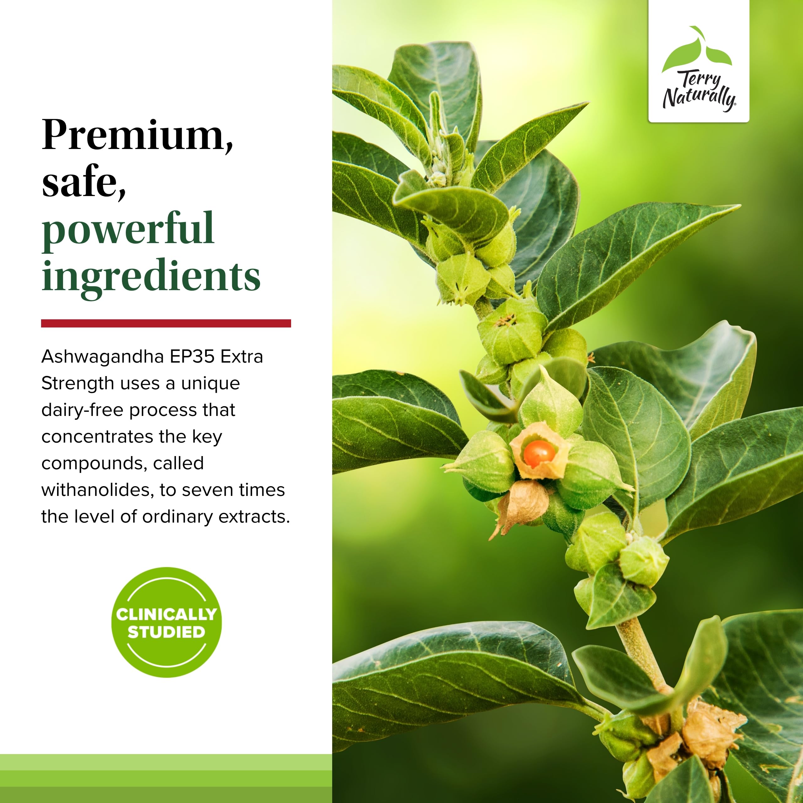 Terry Naturally Ashwagandha EP35, cápsulas, apto para adultos
