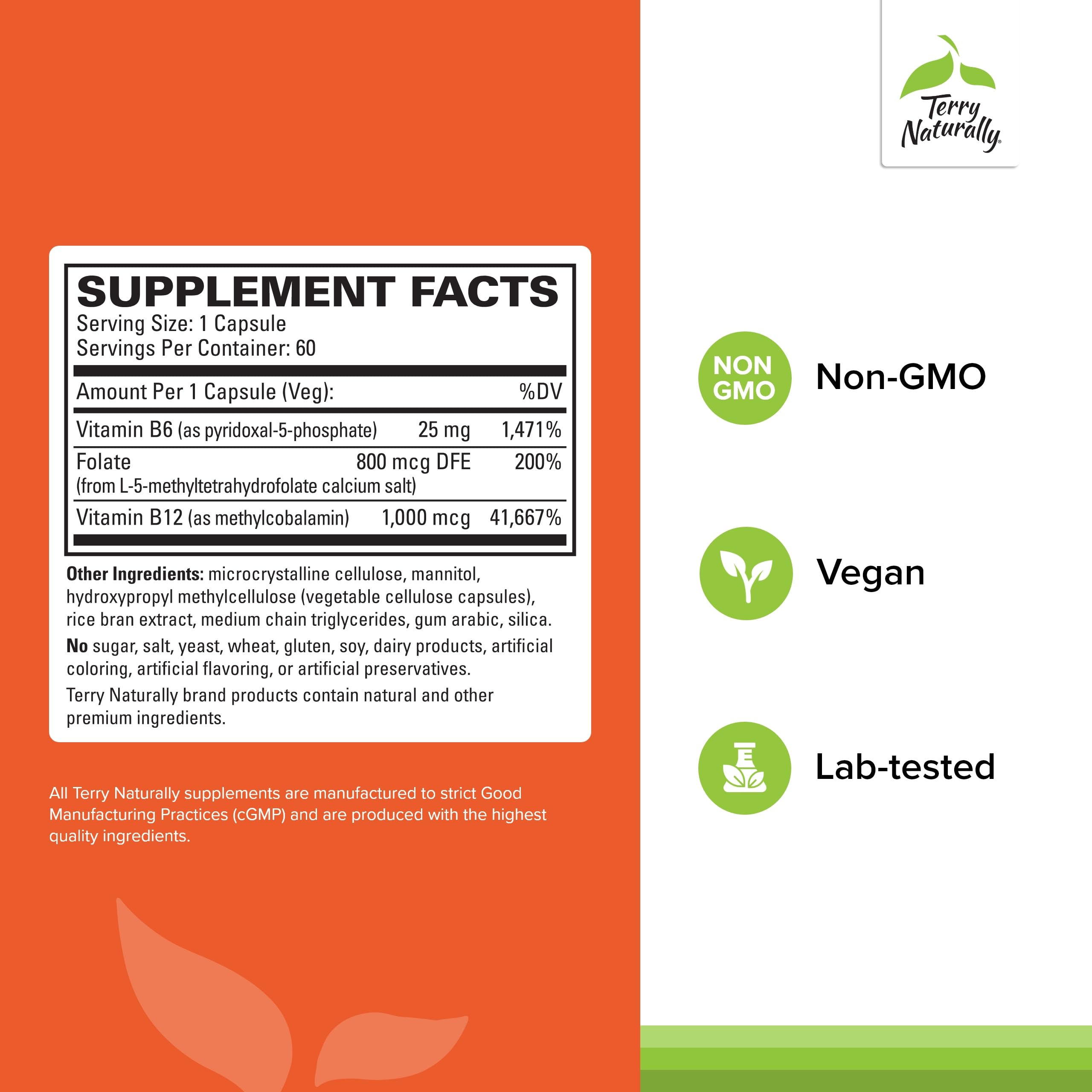 Terry Naturally BioActive Vitamin B: caja frontal con información BioActive y beneficios