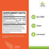 Terry Naturally BioActive Vitamin B: caja frontal con información BioActive y beneficios