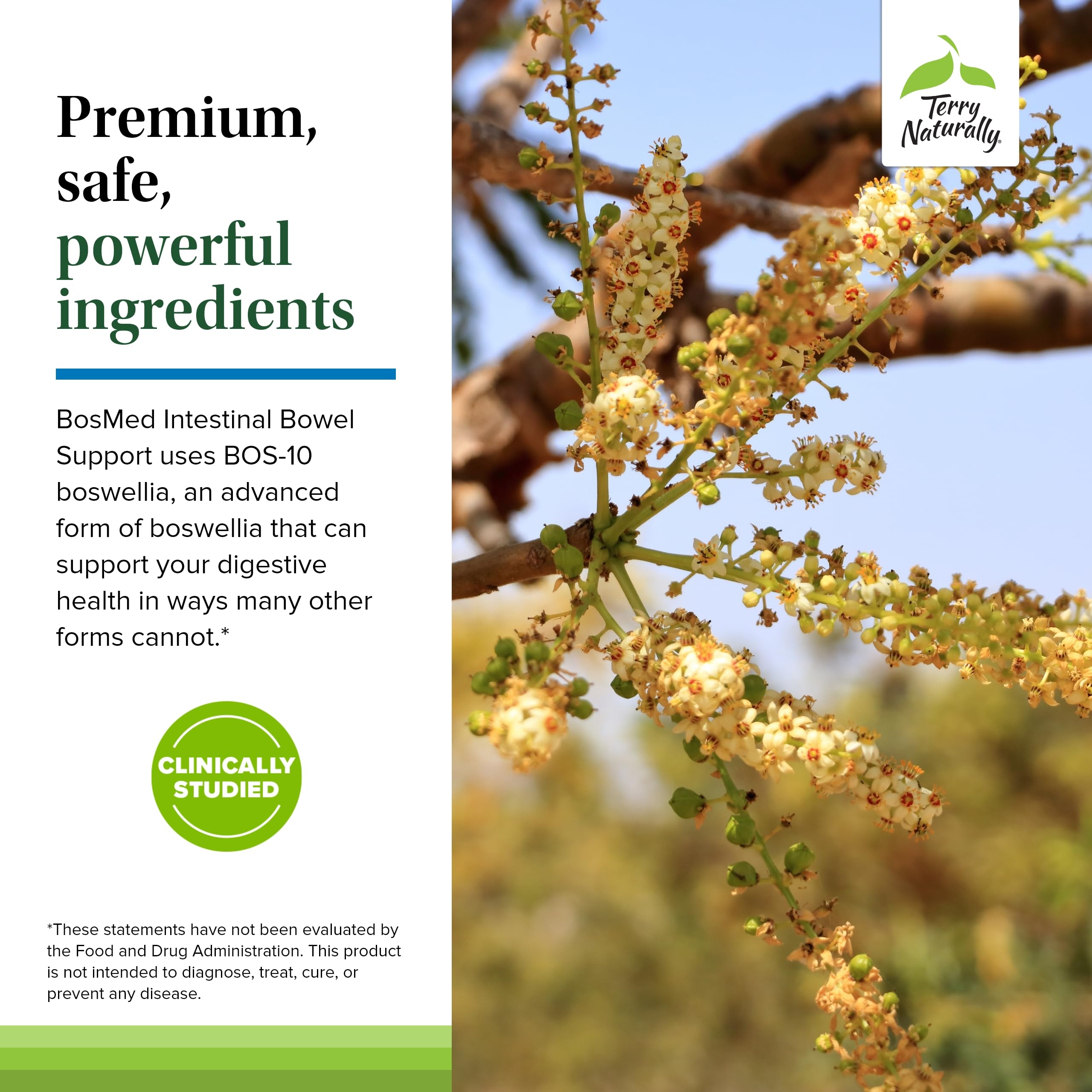 Terry Naturally BosMed cilantro: aroma herbal que acompaña su digestión