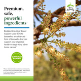 Terry Naturally BosMed cilantro: aroma herbal que acompaña su digestión