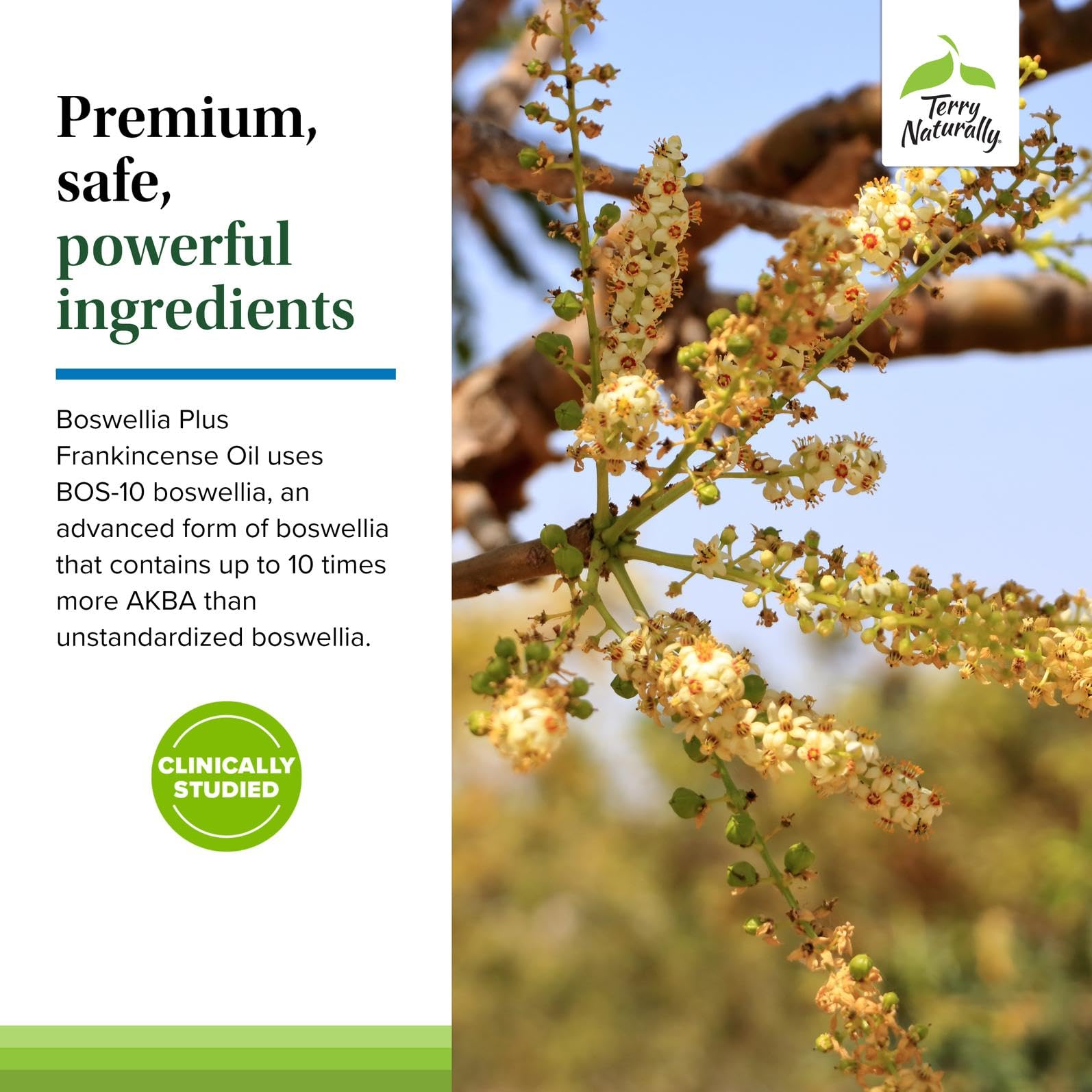 terry naturalmente boswellia plus aceite de incienso envase para control de dosis