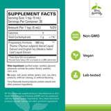 Terry Naturally Bronquial Clear: dosis de adulto para apoyo diario de la salud respiratoria.