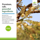 Caja doble de Terry Naturally Boswellia Plus, empaque práctico.