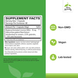Terry Naturally cápsulas digestivas: formato práctico para apoyo ocasional del estómago.