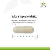 Terry Naturally Clinical Essentials: cápsulas con vitaminas B6 y B12 para energía diaria