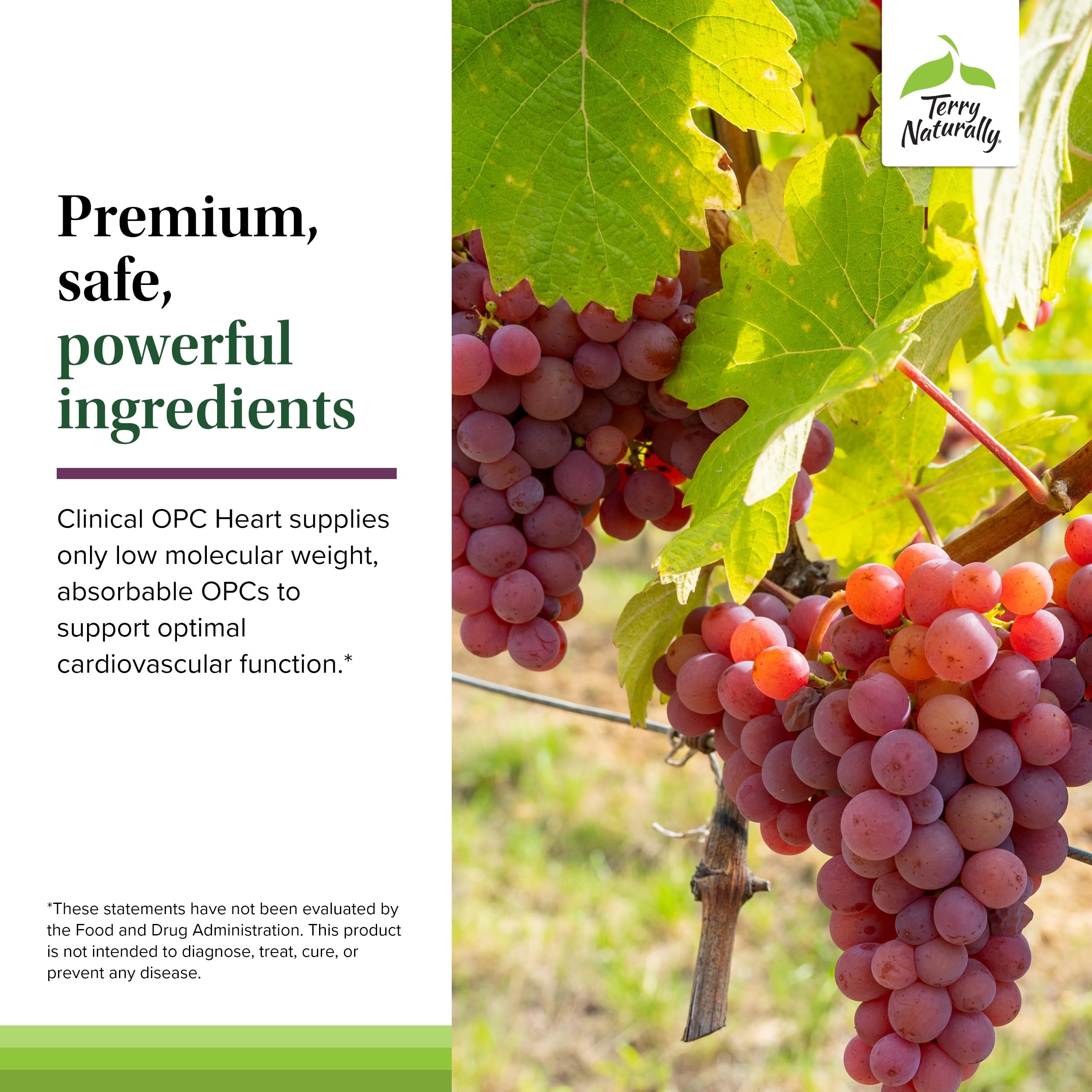 Ingredientes clave de Terry Naturally Clinical OPC Heart para salud arterial.