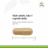 Terry Naturally Complete Testosterone Support, etiqueta trasera resalta ingredientes clave para el bienestar masculino.