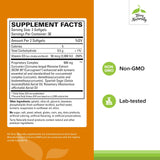 Terry Naturally CuraMed Brain, ingredientes clave curcumina BCM-95 para mayor absorción