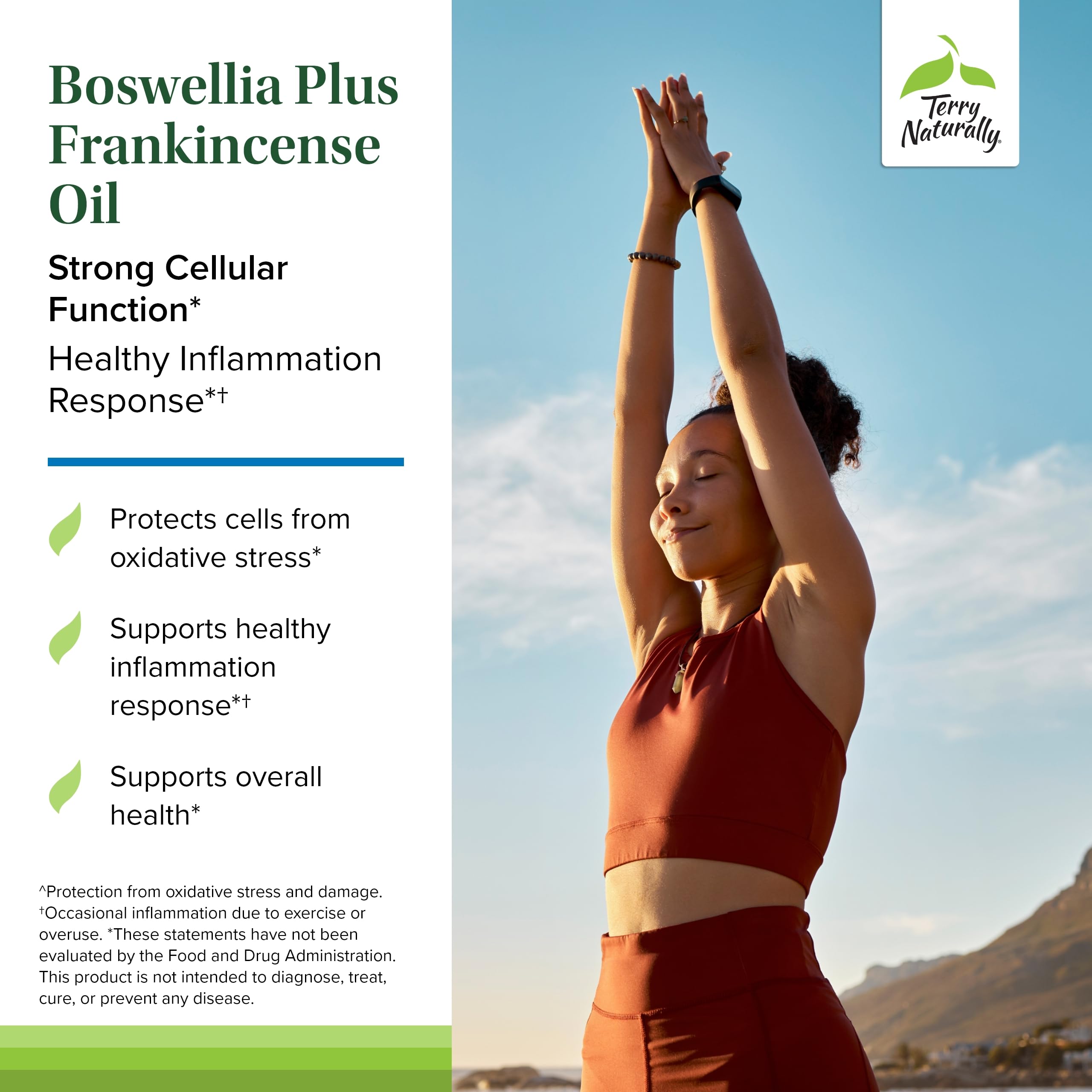Etiqueta de Terry Naturally Boswellia Plus, indicación de incienso puro.