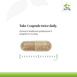 Terry Naturally Etiqueta Sin Gluten: suplemento apto para dietas sin gluten