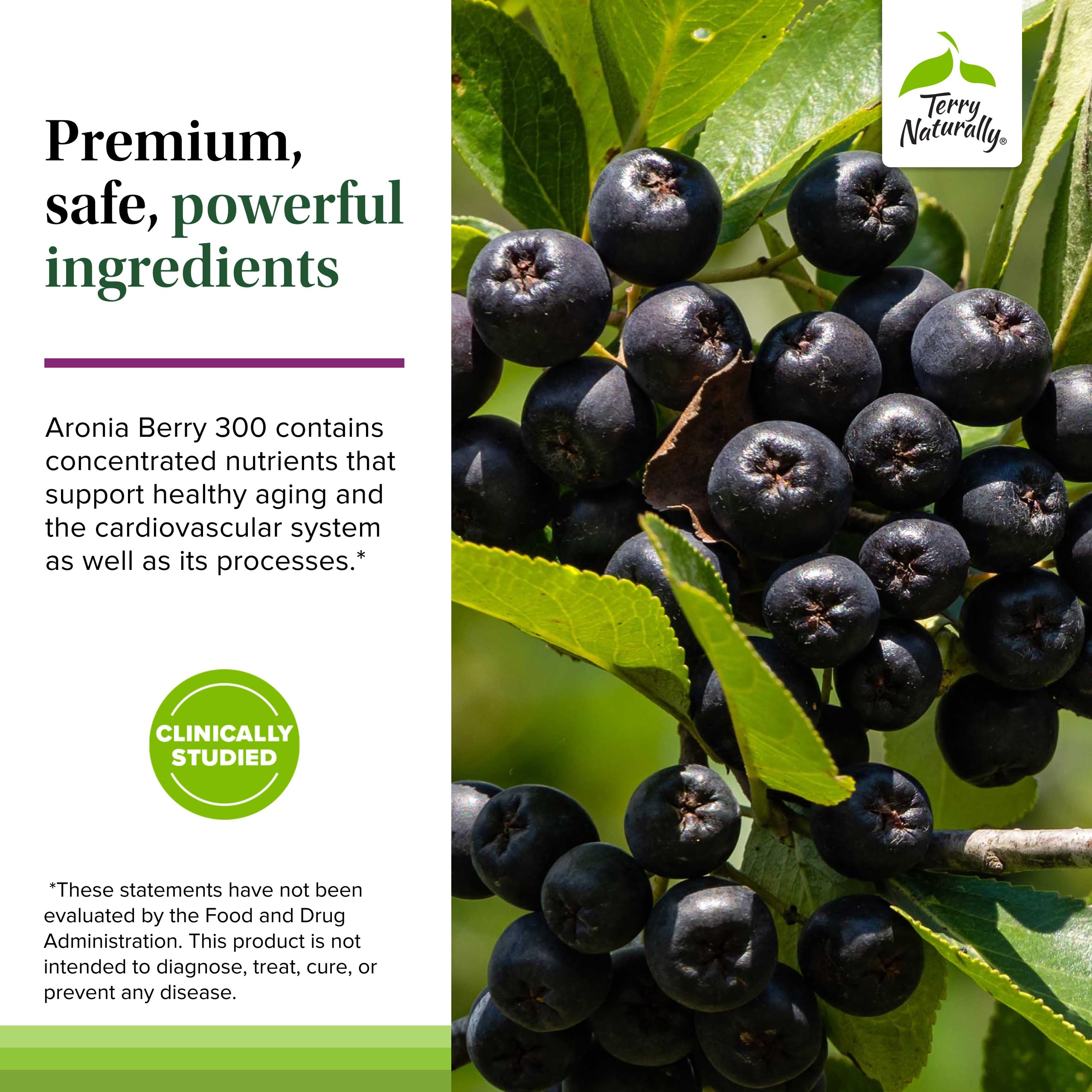 Terry Naturally Aronia Berry 300: uso diario para bienestar general.