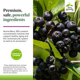 Terry Naturally Aronia Berry 300: uso diario para bienestar general.